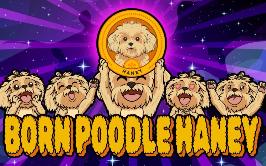 🌟 Introducing Poodle Haney: The Next Big Meme Coin! 🌟 | Join the Presale Now!