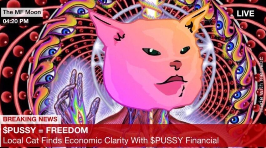 What is Pussy Financial (PUSSY)? Memecoin Cat on Ethereum Network