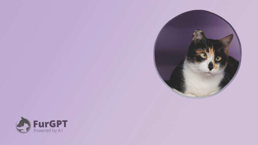 FurGPT (FGPT) Foundation Stops Theft of M Worth of Solana (SOL) Tokens